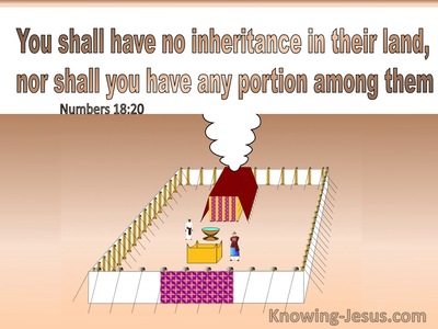 Numbers 18:20 You Shall Have No Inheritance In Their Land Nor Any Portion Among Them (brown)